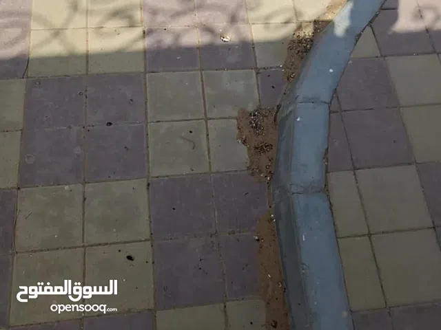 11111111 m2 More than 6 bedrooms Villa for Rent in Al Ain Other