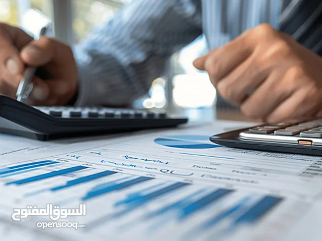 تقديم خدمات شاملة المحاسبة والاستشارات الضريبية وخدمات التدقيق والميزانية