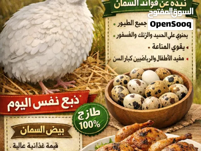 سمان ابيض بيور وبيض سمان طازج