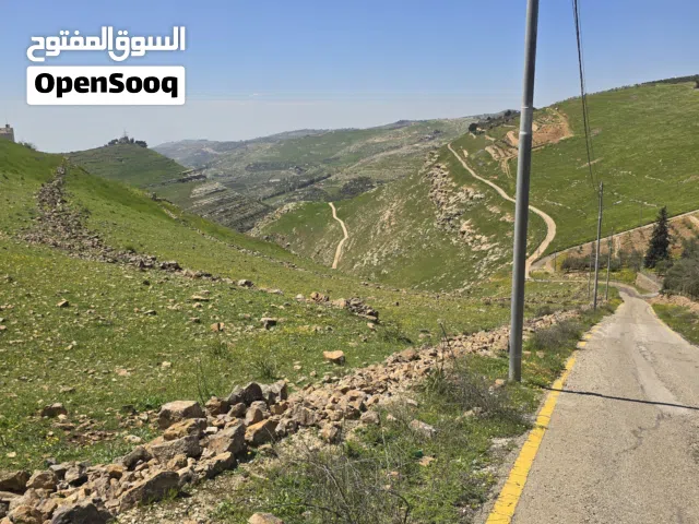 أرض ابو طاره الغربي