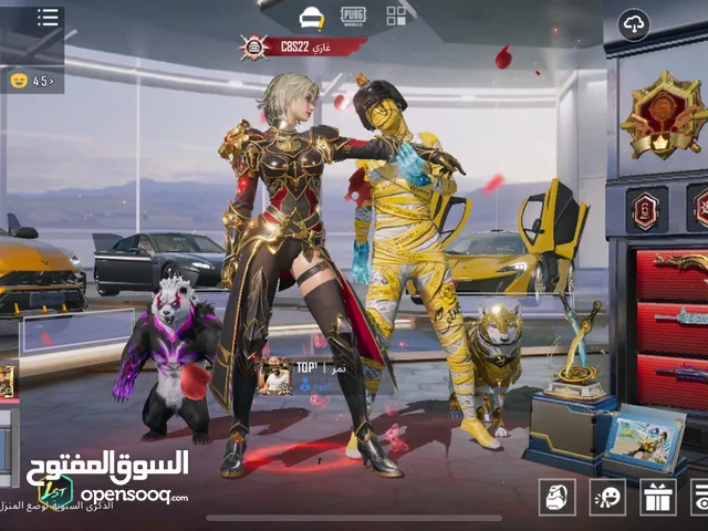 Pubg Accounts and Characters for Sale in Dubai
