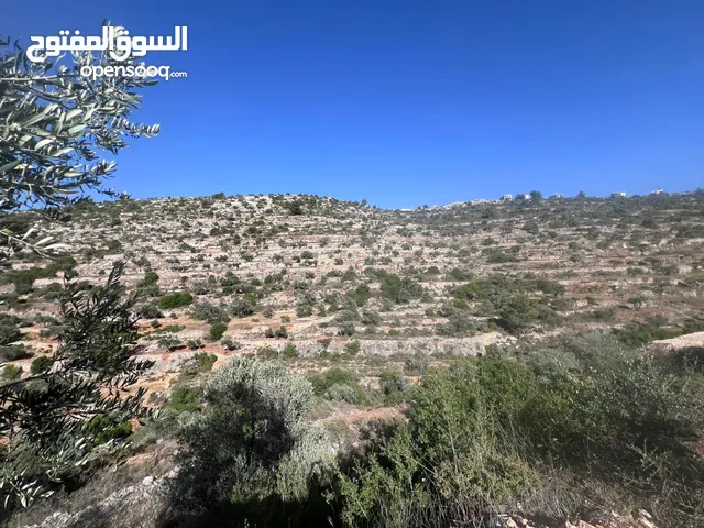 Mixed Use Land for Sale in Ramallah and Al-Bireh Arura