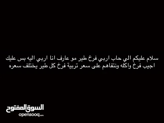 تدريب فروخ