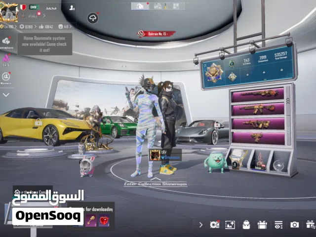 للبيع حساب ببجي العالمية / For sell Pubg account