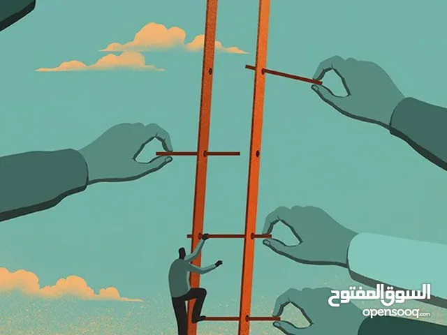 خدمات الإستثمار في المشروعات