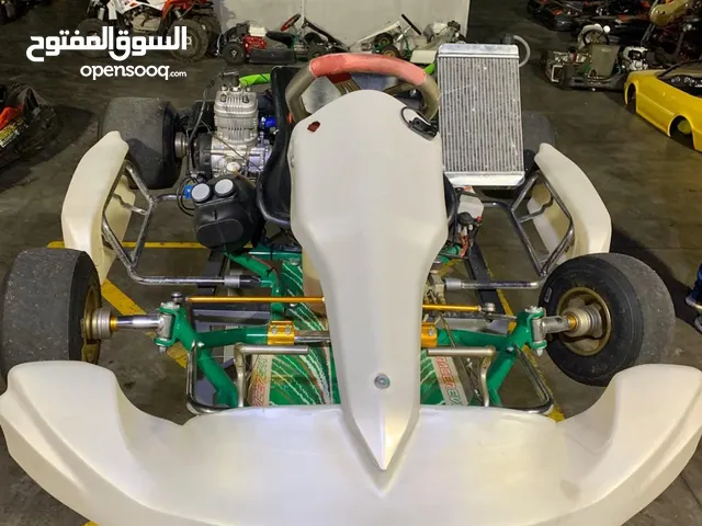 (Go kart) Tonykart model Racer 401 Evolution R