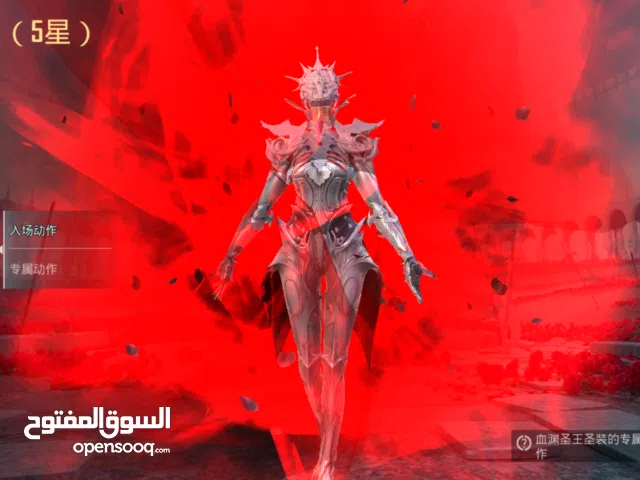 Pubg Accounts and Characters for Sale in Sana'a