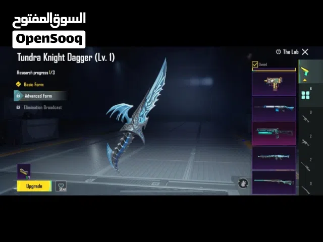 Pubg Accounts and Characters for Sale in Aswan