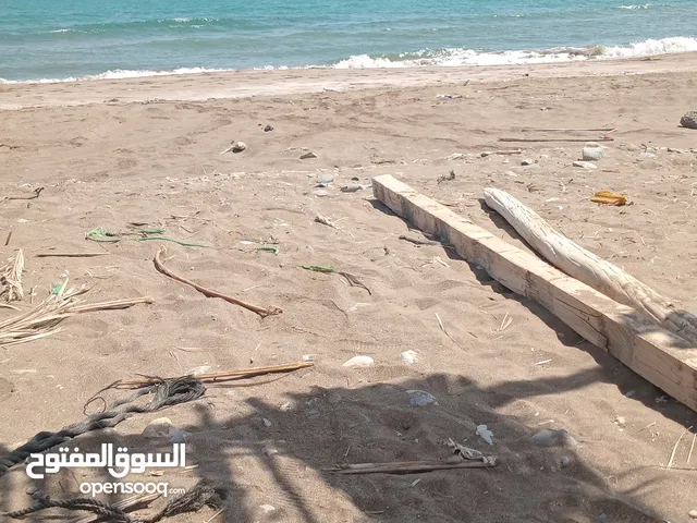 السلام عليكم للبيع لياخ خيط 9الرغب 8أمورهن طيبه 9قطع مطلوب 200