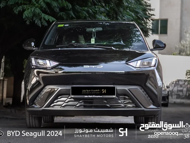 Byd Seagull 2024
