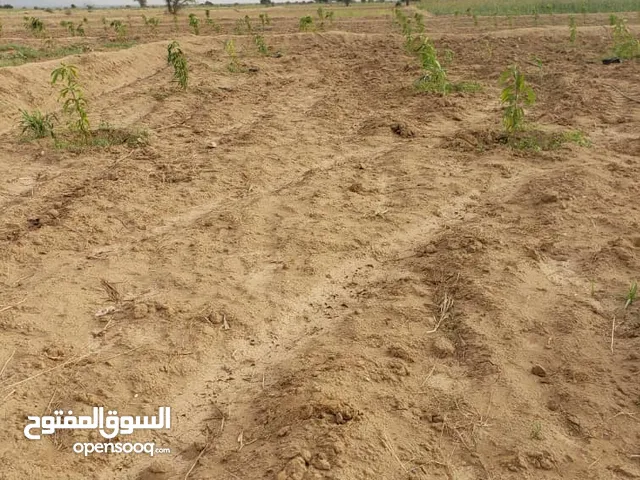 Farm Land for Sale in Al Hudaydah Other
