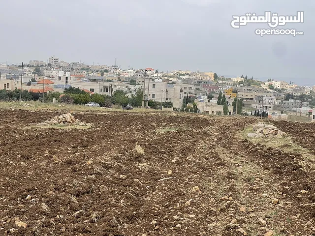 Residential Land for Sale in Irbid Al Husn