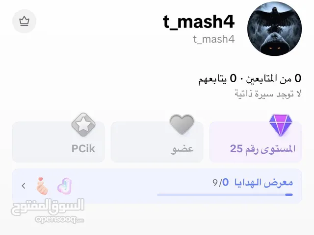Social Media Accounts and Characters for Sale in Amman