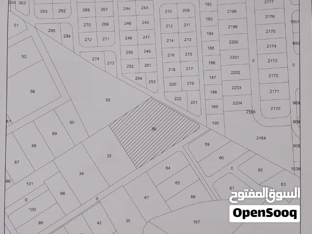 البحر الميت.   غور الرامه