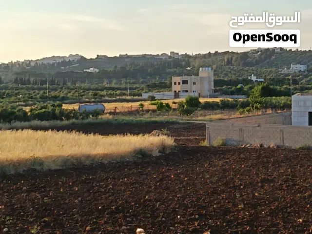 2000م ناعور حوض بريح منطقه بيت زرعه اجمل  احواض ناعور