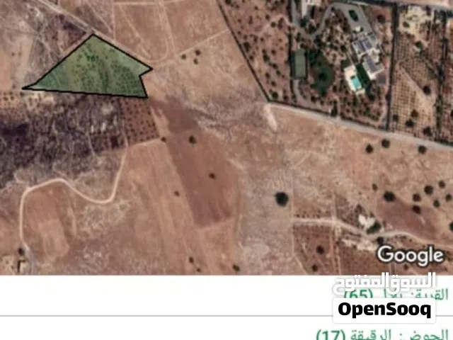 Mixed Use Land for Sale in Amman Badr Jdedeh