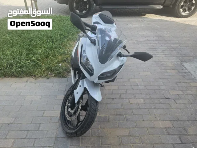2015 Kawasaki Ninja 300