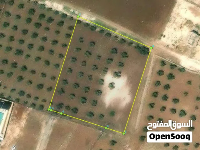 Farm Land for Sale in Amman Naour
