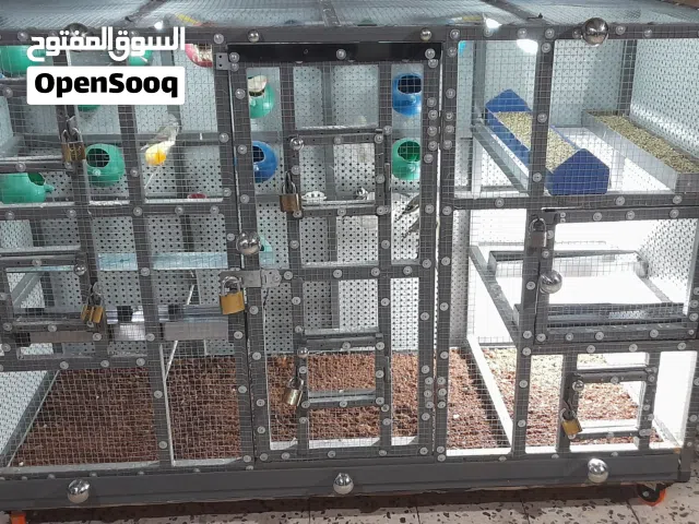 قفص عصافير كبير  خيالي وبسعر مغري طوله( 160 ) عرضه ( 100 ) أرتفاعه  ( 60 )