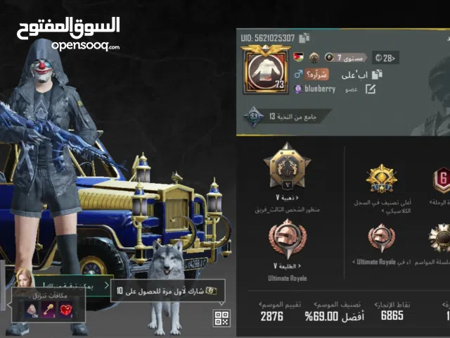 حساب ببجي للبيع مرتب و فيه نوادر