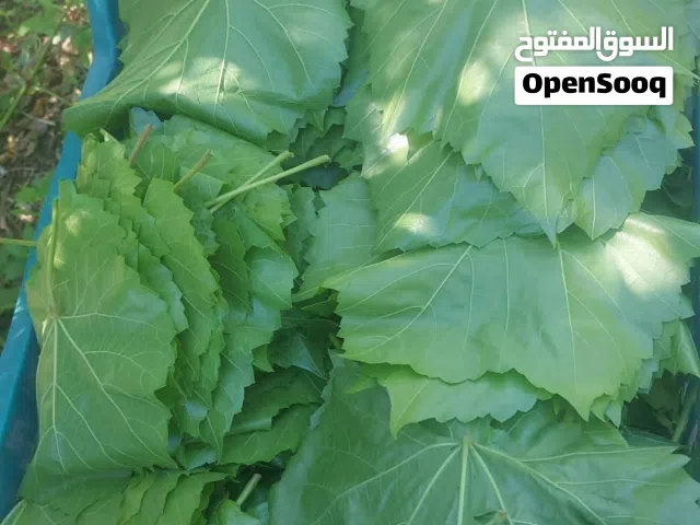 ورق دوالي أمريكي نخب اول بطعم البلدي