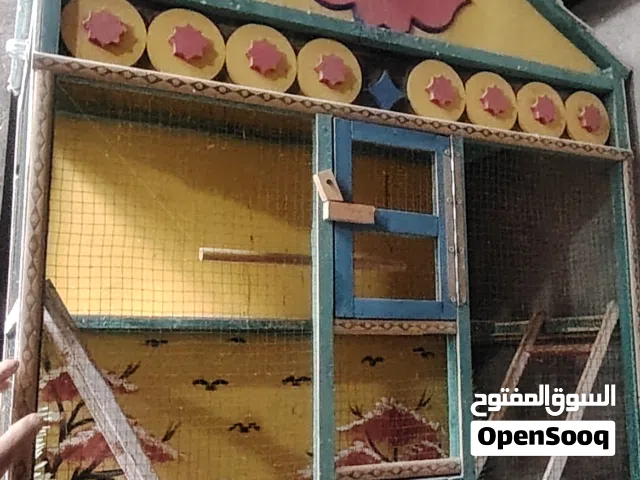 قفص نضيف اخو جديد