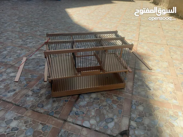 ملطش بابين مع قفص يصلح لصيد جميع انواع العصافير والحمام
