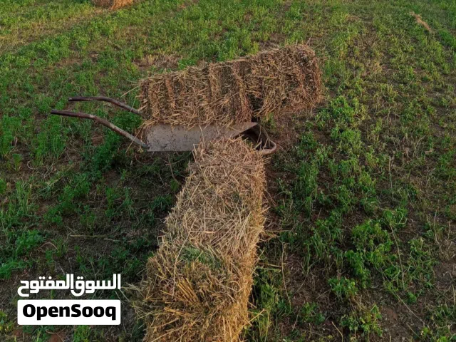صفصفه 100 باله مكان الكريمة السواني