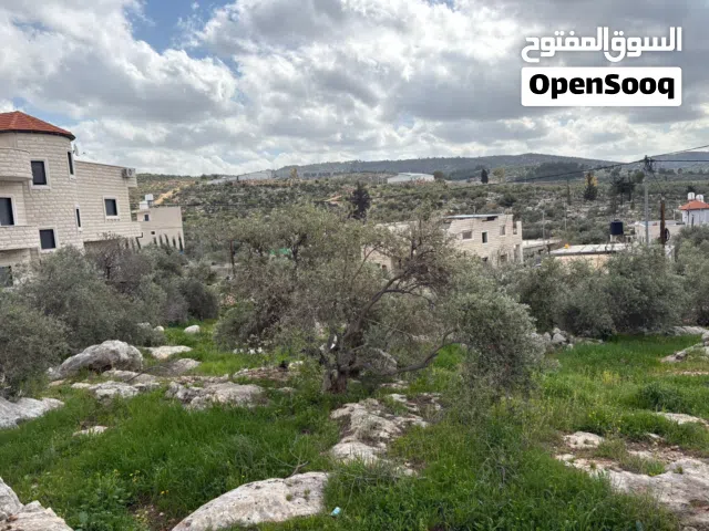 Residential Land for Sale in Ramallah and Al-Bireh Beit Liqya