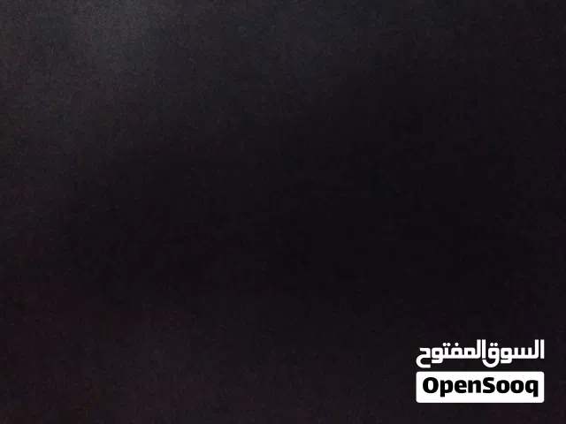 3 سخلات وجدي عمرهم تقريبا 4 أشهر ونص سعرهم 500