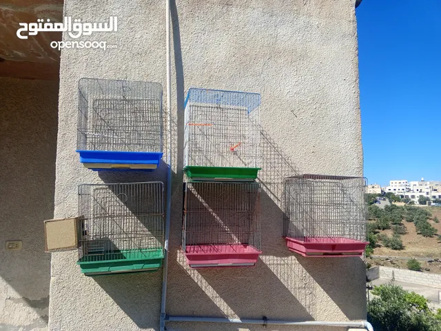 مجموعة قفاص للبيع 3 معالف و 4 معالف و8 معالف ومعلفين كوم كامل