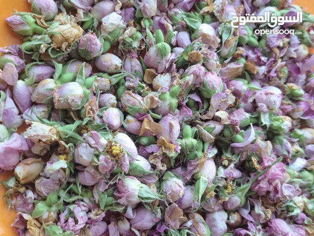 بيع زهرة محمدي طازجة من إيران