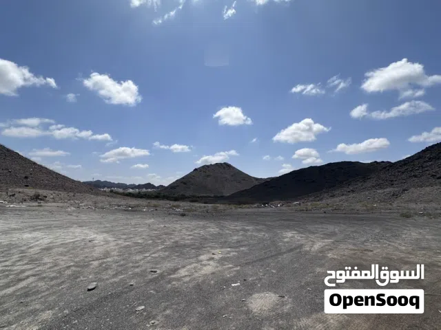 أرض للبيع سفالة ابراء - العقبة