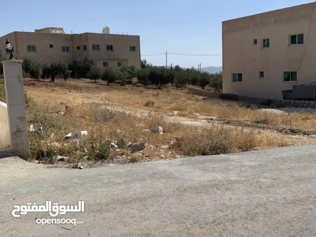Residential Land for Sale in Amman Abu Nsair