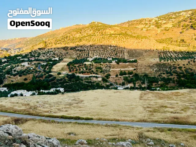 Residential Land for Sale in Amman Al Bassah