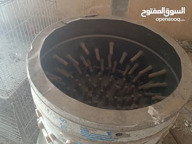 رياشة دجاج وبط ووز وبيبي