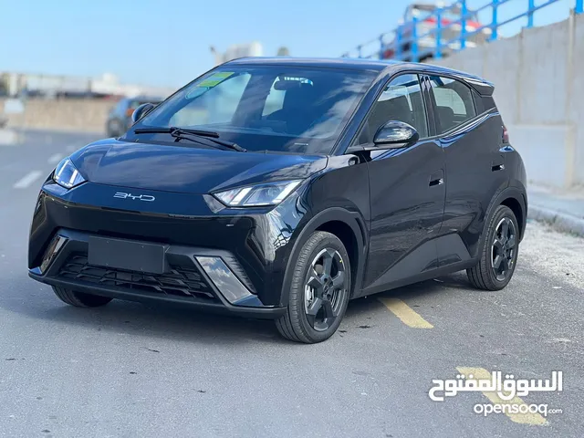 Used BYD Seagull in Zarqa