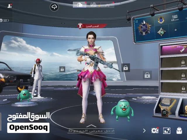 Pubg Accounts and Characters for Sale in Irbid