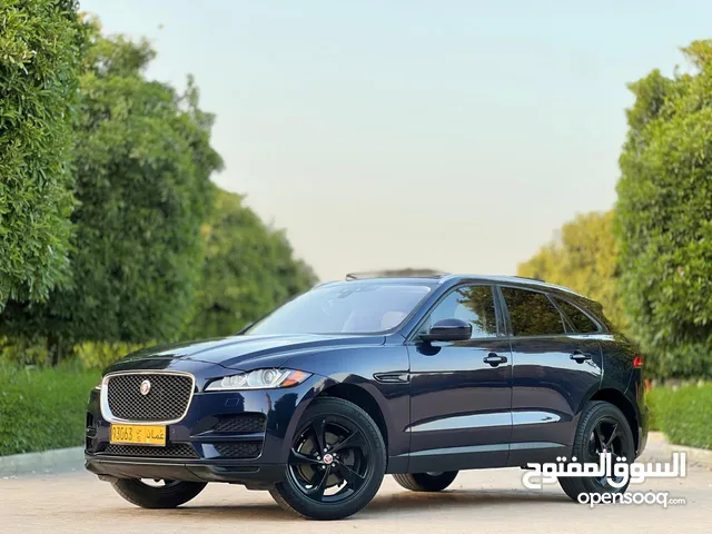 للبيع او البدل جاكور اف بيس 2018