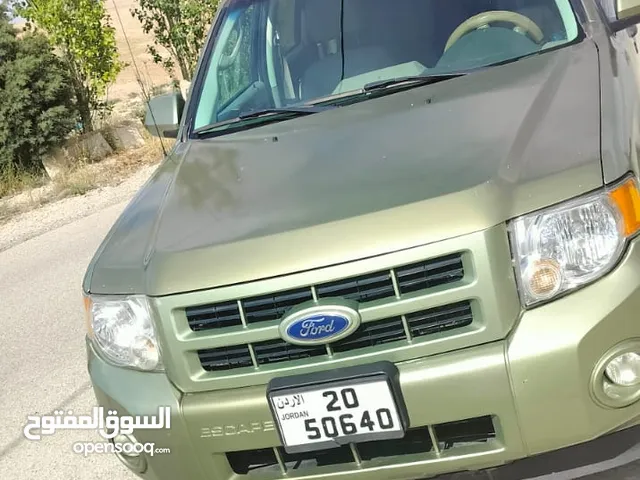 Used Ford Escape in Ma'an
