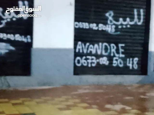 رحماني عاشور 20