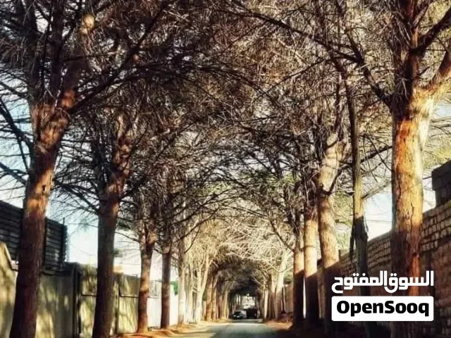 أرضي للبيع 600 متر - و 400 متر شارع النجمة موقع ممتاز بالقرب من جميع الخدمات وبسعر كزيوني