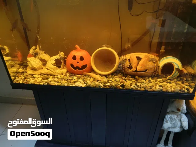 fish tank with stand & fishes
