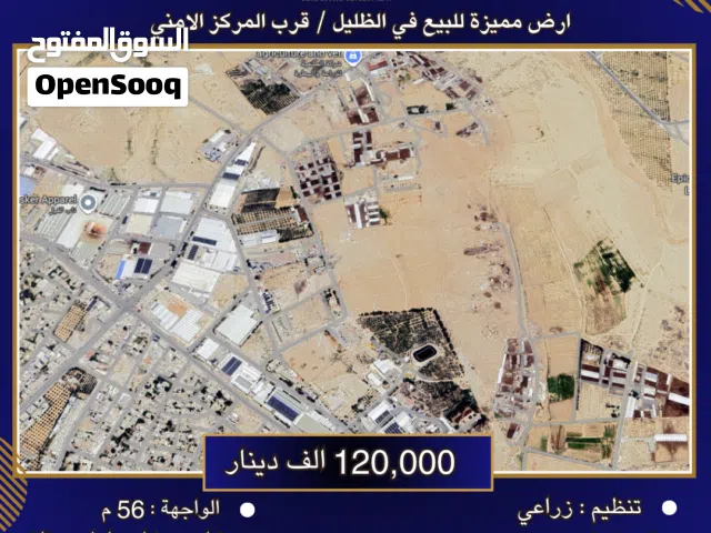 Farm Land for Sale in Zarqa Dhlail