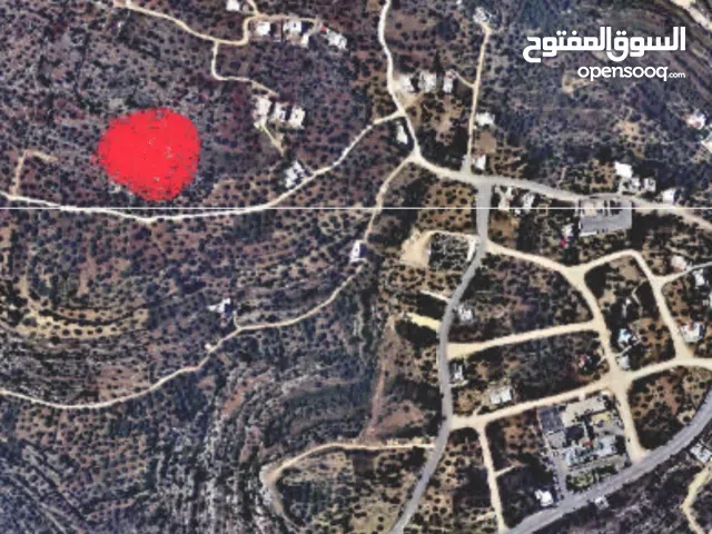 ارض دونم للبيع في الوعورة سلفيت خلف مستشفى