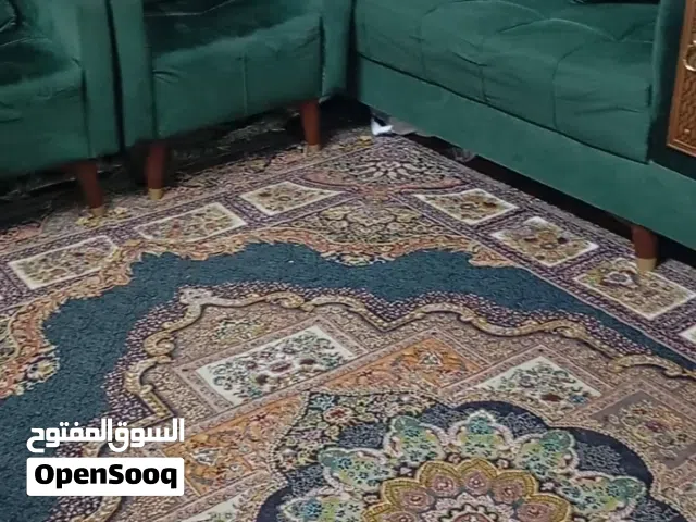 تخم وزوليه وطبلات للبيع...