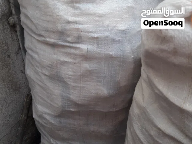 خبز يابس للغنم