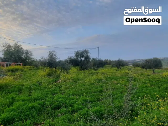 Residential Land for Sale in Irbid Al Husn