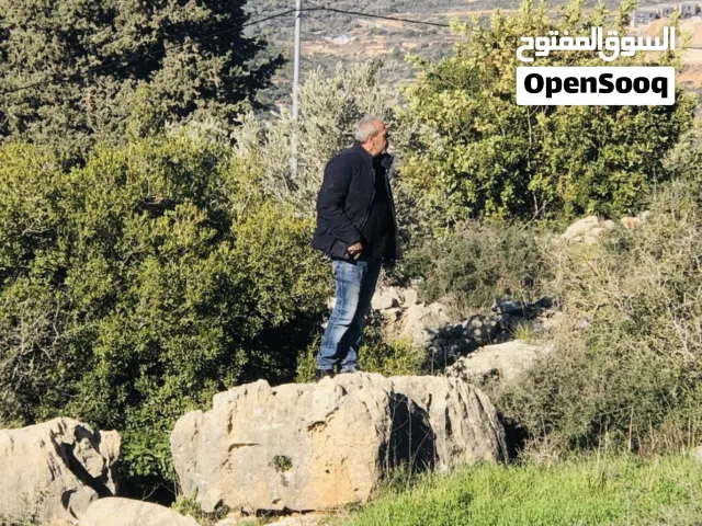 ارض للبيع في المزرعة الغربية نص دونم للبيع او للبدل ع شقه في رام الله وموجود نص دونم في بيتا نايلس