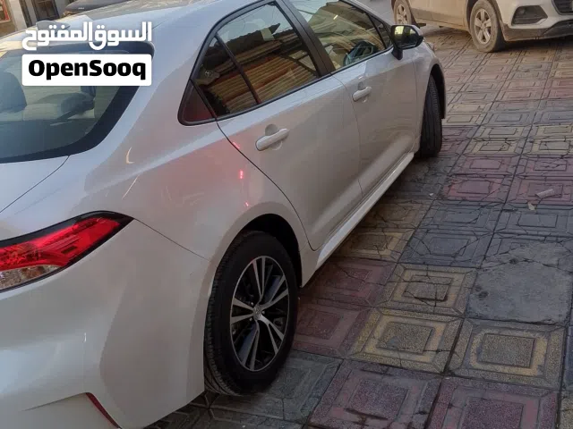 كورلا هايبرد وارد امريكي